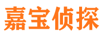 巫溪市调查公司